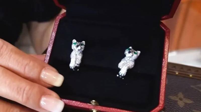 新加坡愛馬仕女王曬百萬珠寶盒,紅到中國!接下國産美妝