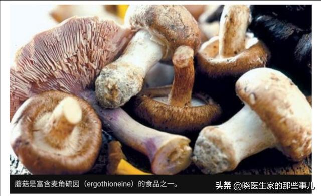 据新加坡的一项研究显示,多吃蘑菇可以“减少大脑退化的风险”