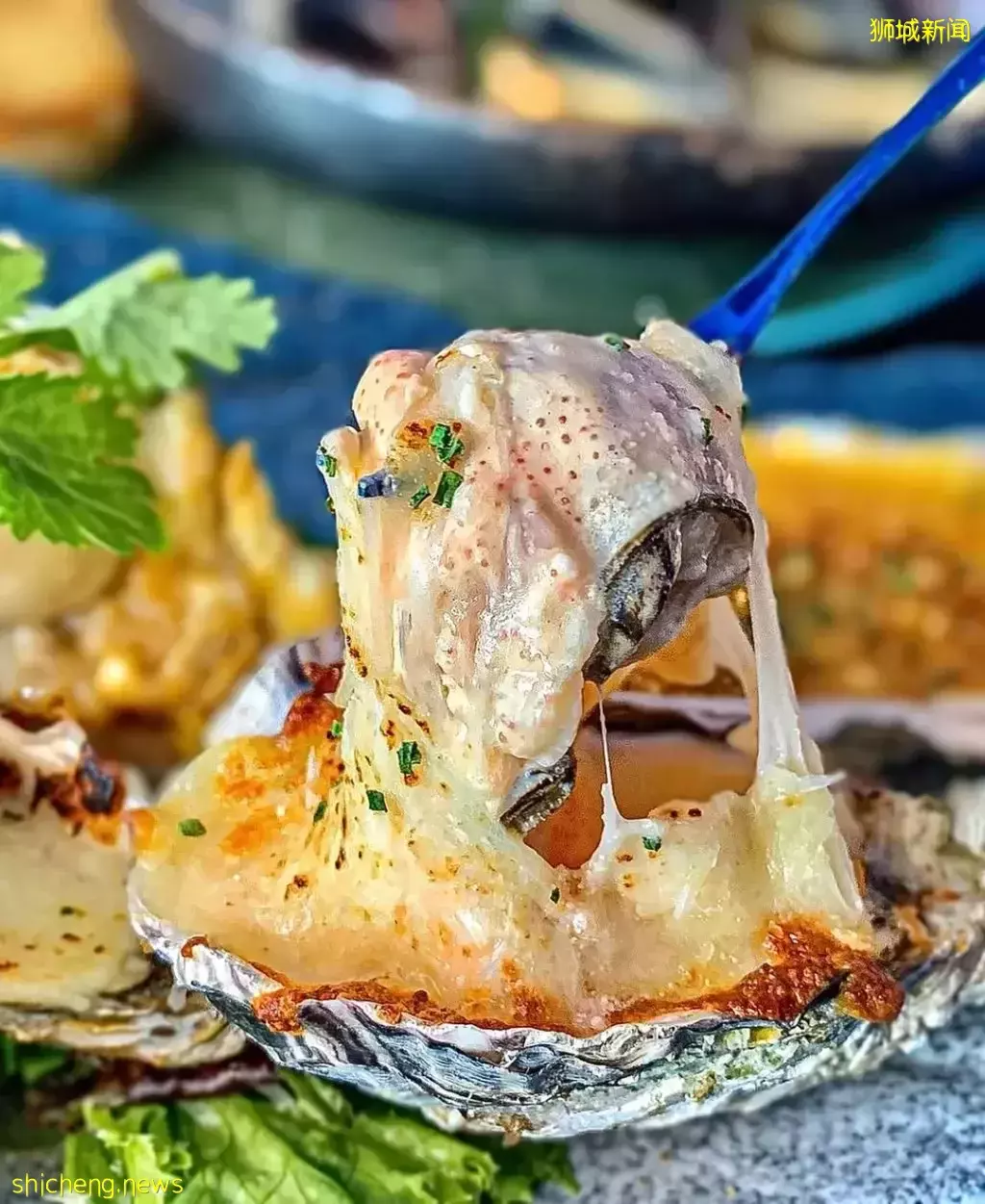 补一补了咯😌 Oyster Co生蚝一颗才S$0.99!便宜大颗超肥美,一口一个吃到爽🤤