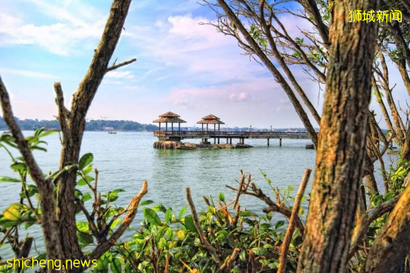 新加坡的這7個小衆島嶼你還沒有去過嗎