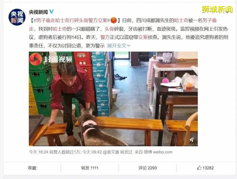新加坡疯传的虐狗事件,主角被全网人肉!狗狗已经找到