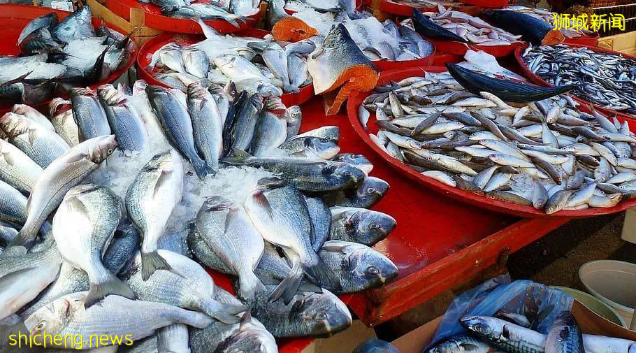 堂食新規正式實行！網友吐槽吃個飯要先做數學題