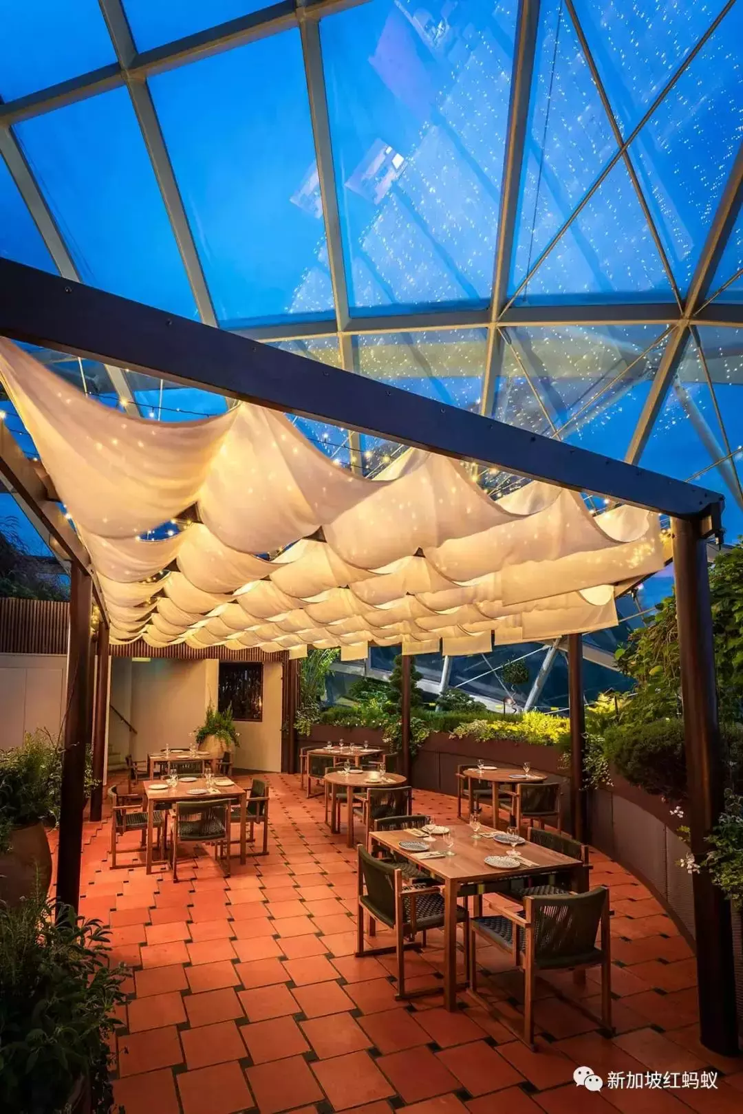 新加坡公園的浪漫,只有去過這些隱藏版特色餐館的人才懂