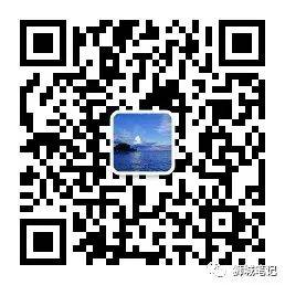 狮城的农历新年(3)：置办年货，黄梨，就是旺来