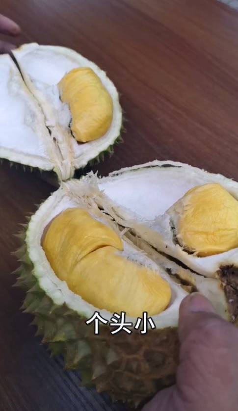 昨晚，我們在新加坡芽籠紅燈區吃雞，是怎樣一種體驗