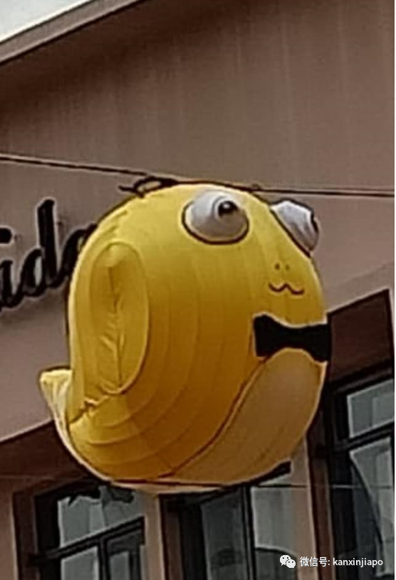 又双叒叕被嫌!牛车水春节12生肖装饰,出现金鱼?蜗牛?河豚?