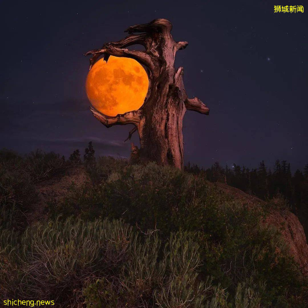 多圖預警！昨晚你們沒看到的“超級血月”都在這裏