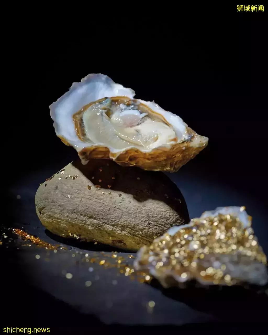 世界生蚝品鑒節!全世界七大知名産地、29種生蚝🦪一次性吃到爽