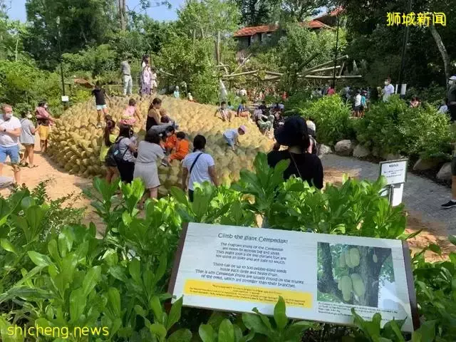 告別“塑料遊樂場”，看新加坡的公園如何诠釋“高大上”