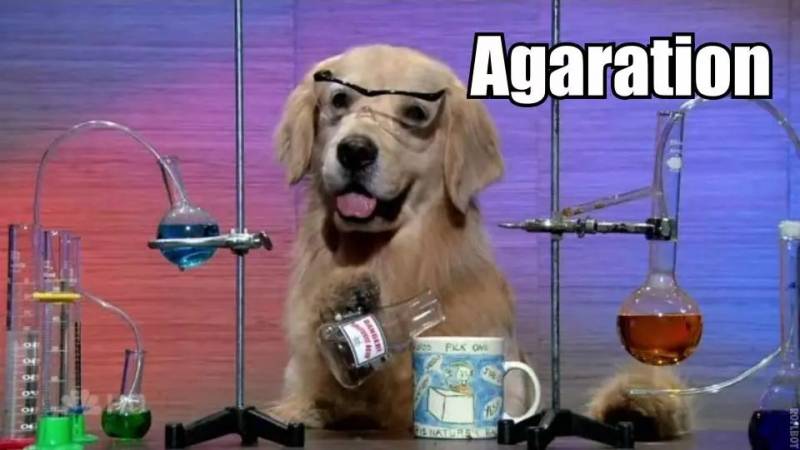 在新加坡呆夠5年以上的,進來一下