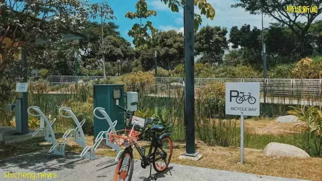 那些新加坡不睡覺的夜貓子，都在幹什麽