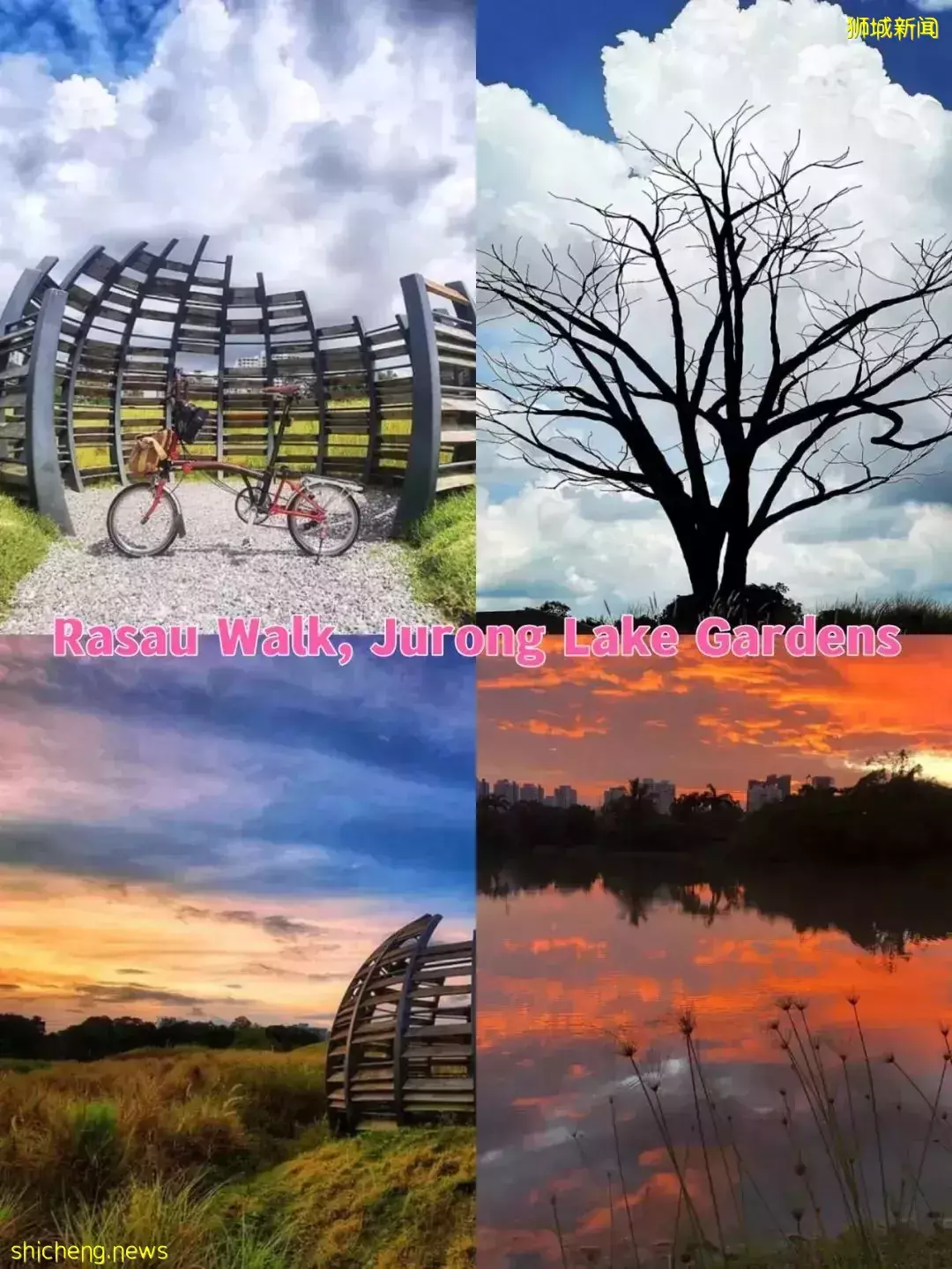 远足、观鸟、露营,还有大鳄鱼!新加坡的5大湿地公园一定要去