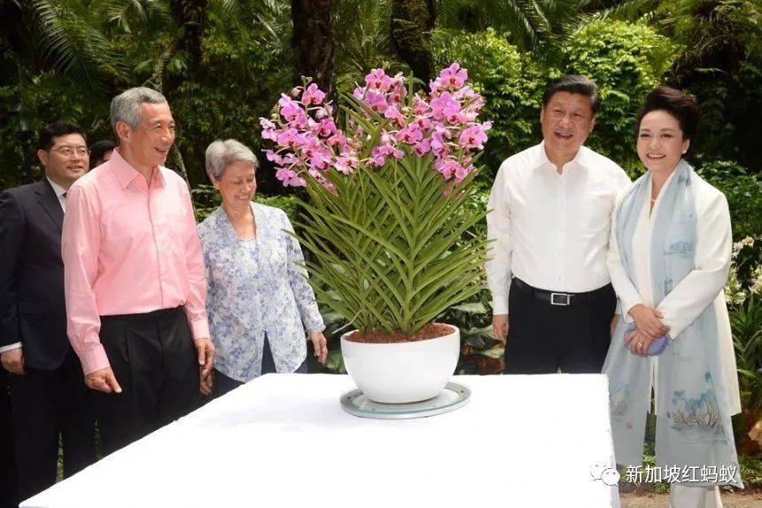 中國有桌球外交，新加坡有胡姬花外交，藏著許多鮮爲人知的有趣故事