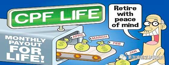 【生活資訊】一文讀懂新加坡PR、公民與外國人優勢與福利