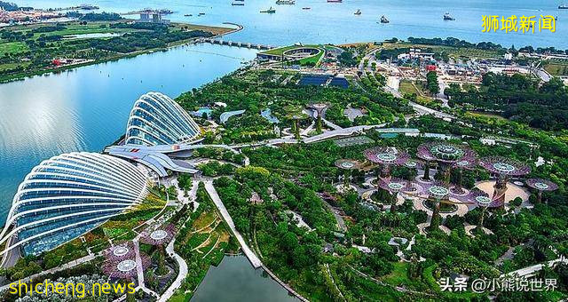 新加坡作为被迫独立,后来成为发达国家,为啥不愿离开马来西亚