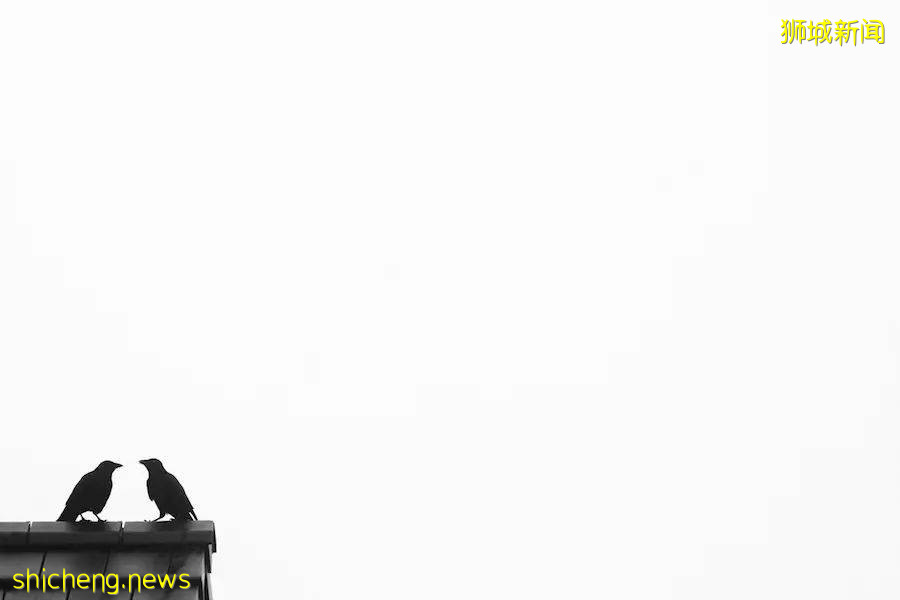 新加坡社会：除了种族，原来还有肤色之分