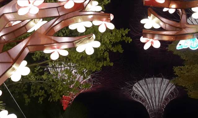 重磅!新加坡5個全新網紅景點來了!中秋節必打卡