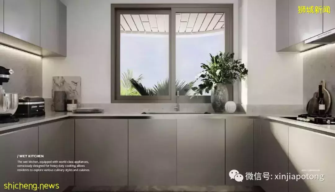 新加坡版凡尔赛,超级豪宅项目 柏皓,高净资产人士选择,稀缺大平层永久地契,花园和建筑融为一体