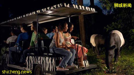 关于新加坡,您所不知道的十件趣闻轶事(上)