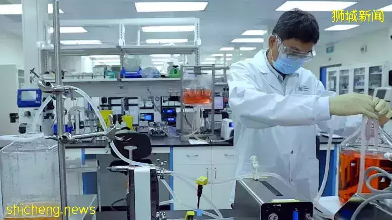 獅城新疫苗生産設施施工 可爲新型病毒研發和生産疫苗