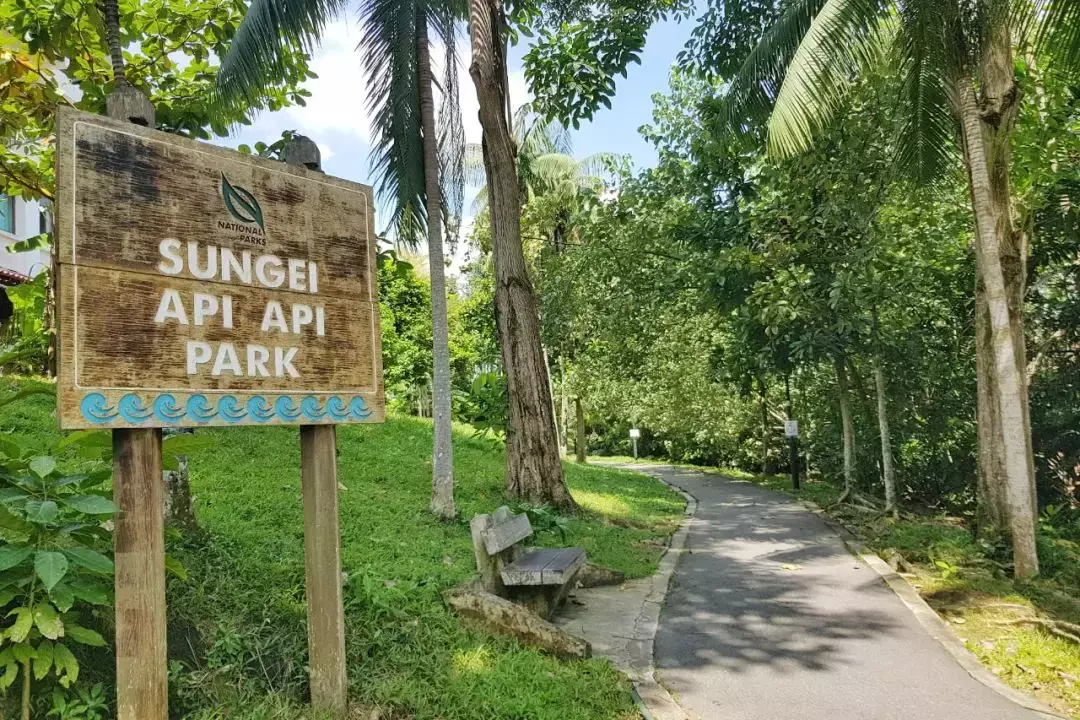 来新加坡工作4个月就失踪,22岁补习女老师尸体在海边寻获