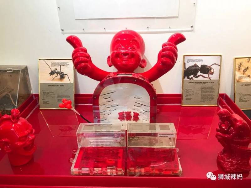 亞洲第一的螞蟻博物館居然在新加坡
