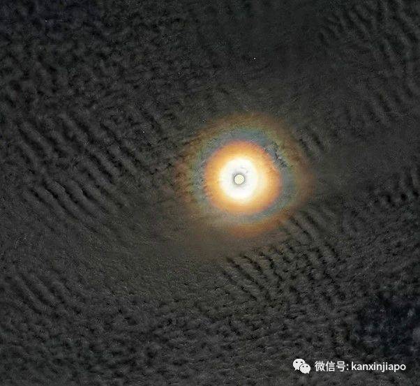 梦幻月晕!新加坡昨晚出现“吸血鬼”月亮