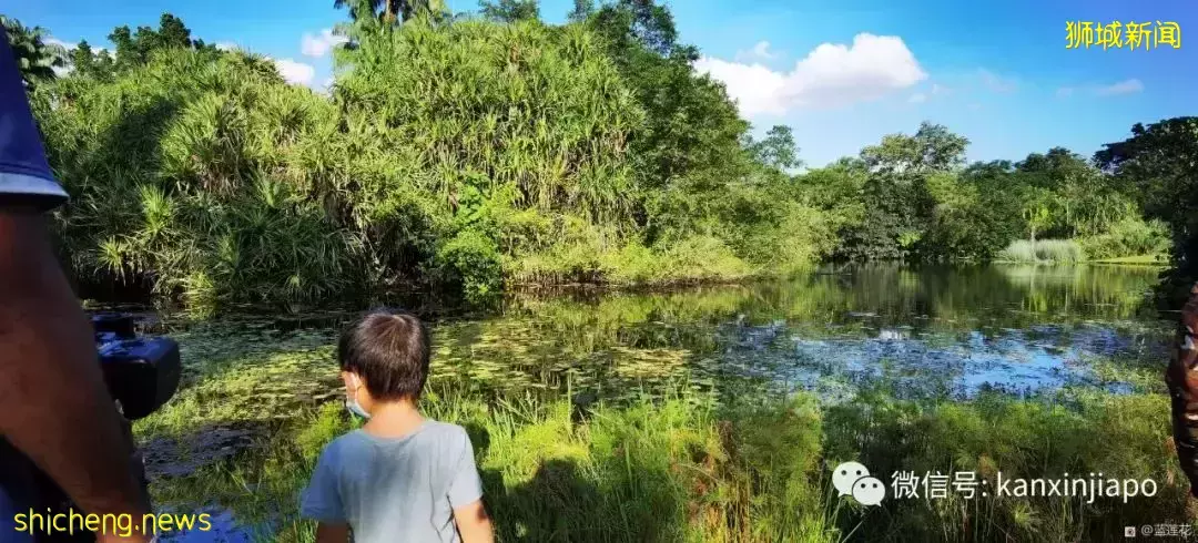 快来免费打卡新加坡这个世界文化遗产