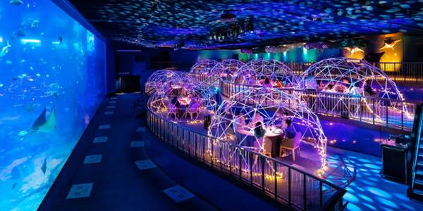 超多選擇！火鍋、粵菜、川菜、湘菜11家新加坡年夜飯，滿足中國胃