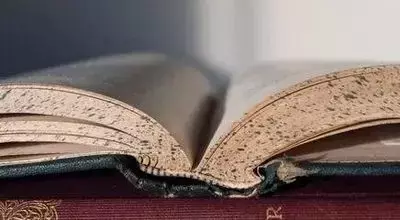 国际学校的IB CP课程了解一下!看看新加坡知名世界学院的学生如何直通名校