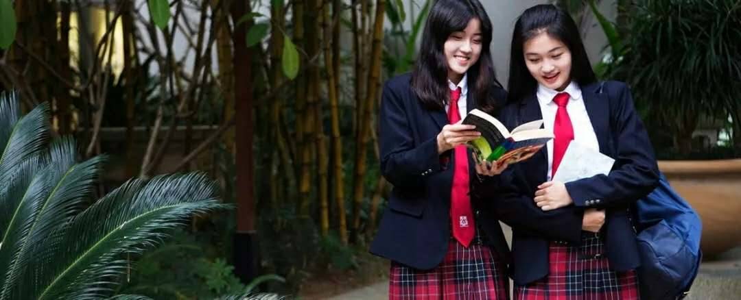 新加坡这么多所国际学校，他们的区别在哪