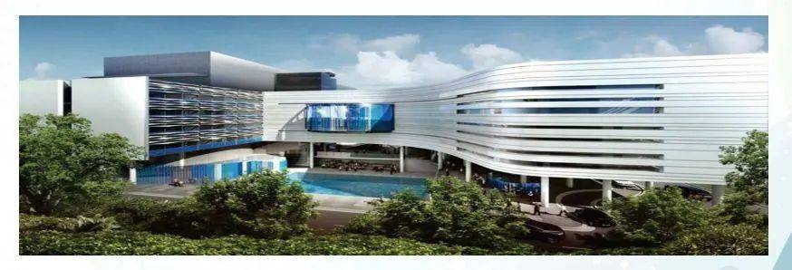 “司马移案例”如何把握当下移民新加坡的最佳时机