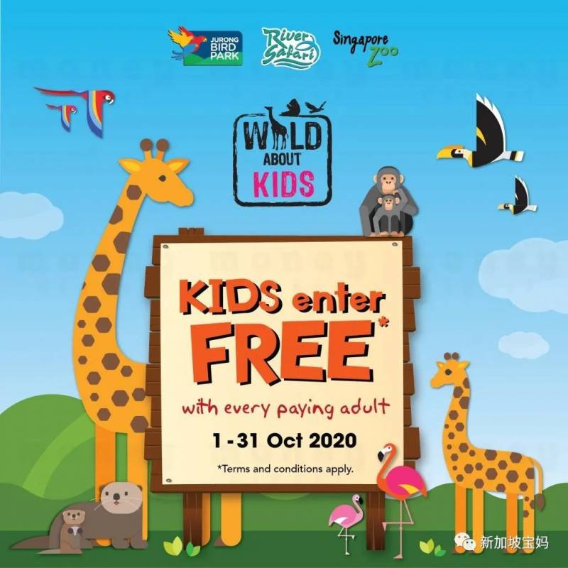 這周末，新加坡都有啥遛娃好去處