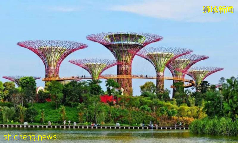 爲什麽新加坡移民很受歡迎?看完你就懂了