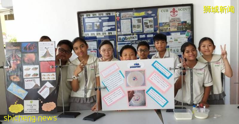 爲什麽選擇去新加坡讀小學!