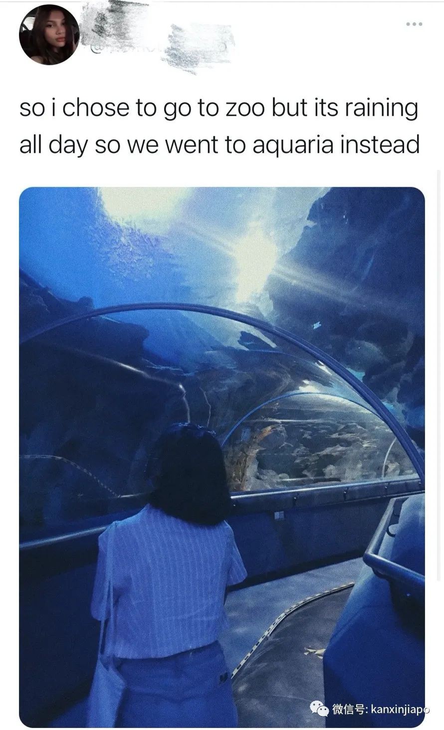 他做了一份创意的线上表格,成功把女神约出来