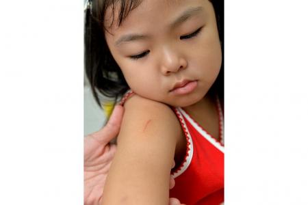 甚至邻居们也听到了它的破碎声