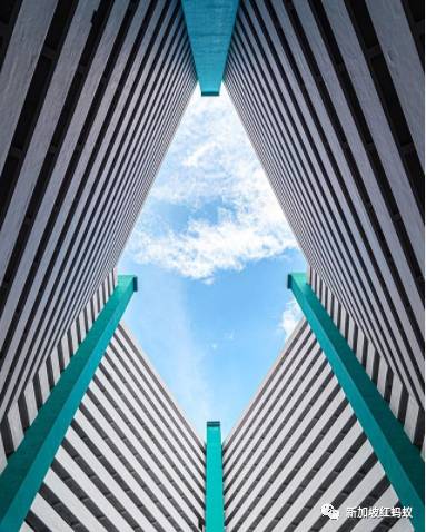 新加坡人镜头下“家的形状”是什么? 答案就在2500多张照片里