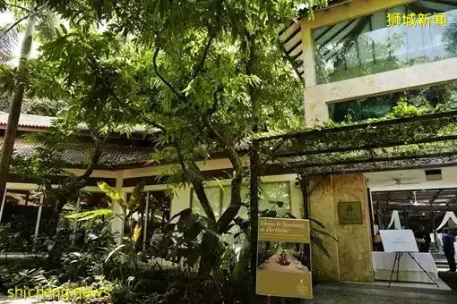 免費！新加坡排名第一的“家庭遊樂場”，竟然有這麽多項目我還沒玩過