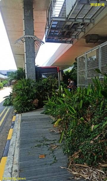 SBS Transit 巴士撞上機場輕軌柱子, 三人送往醫院