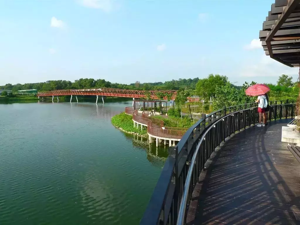 新加坡神奇路線圖,輕松穿梭各個公園,再也不怕迷路啦