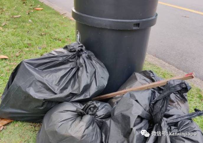 如何从活动小白到组织全城一起搞事情?我给东海岸“洗了个澡”