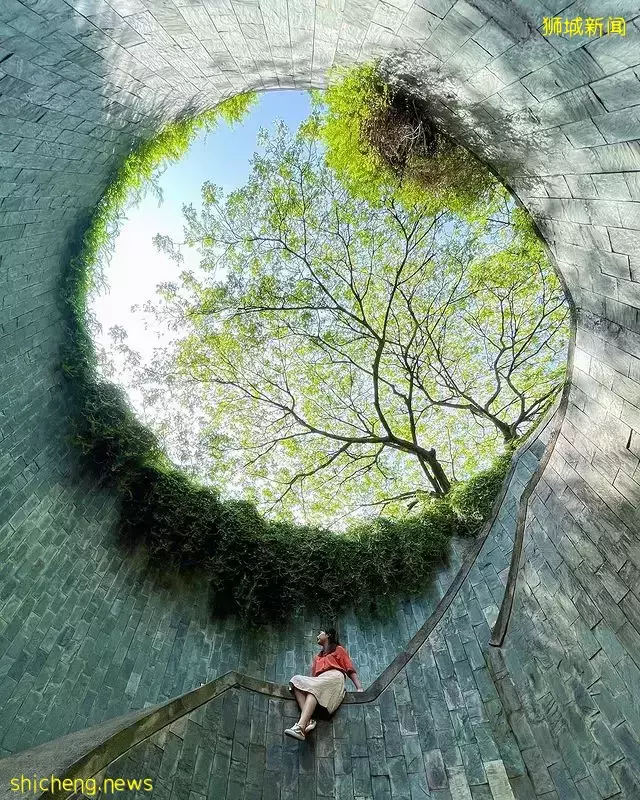 盘点新加坡异国风自然美景📷一分钱也不用花,带你在本地畅游世界😱OOTD美照拍起来