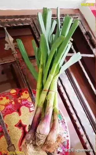 入鄉隨俗,在新加坡過春節有哪些習俗呢