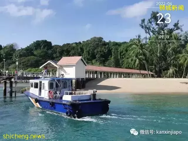 新加坡大解封,又可以到处耍啦!第一站不如先去这3个宝藏小岛