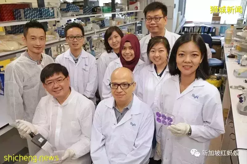 法国授予新加坡三名冠病专家功绩勋章 以往曾有名人谢绝这份荣誉