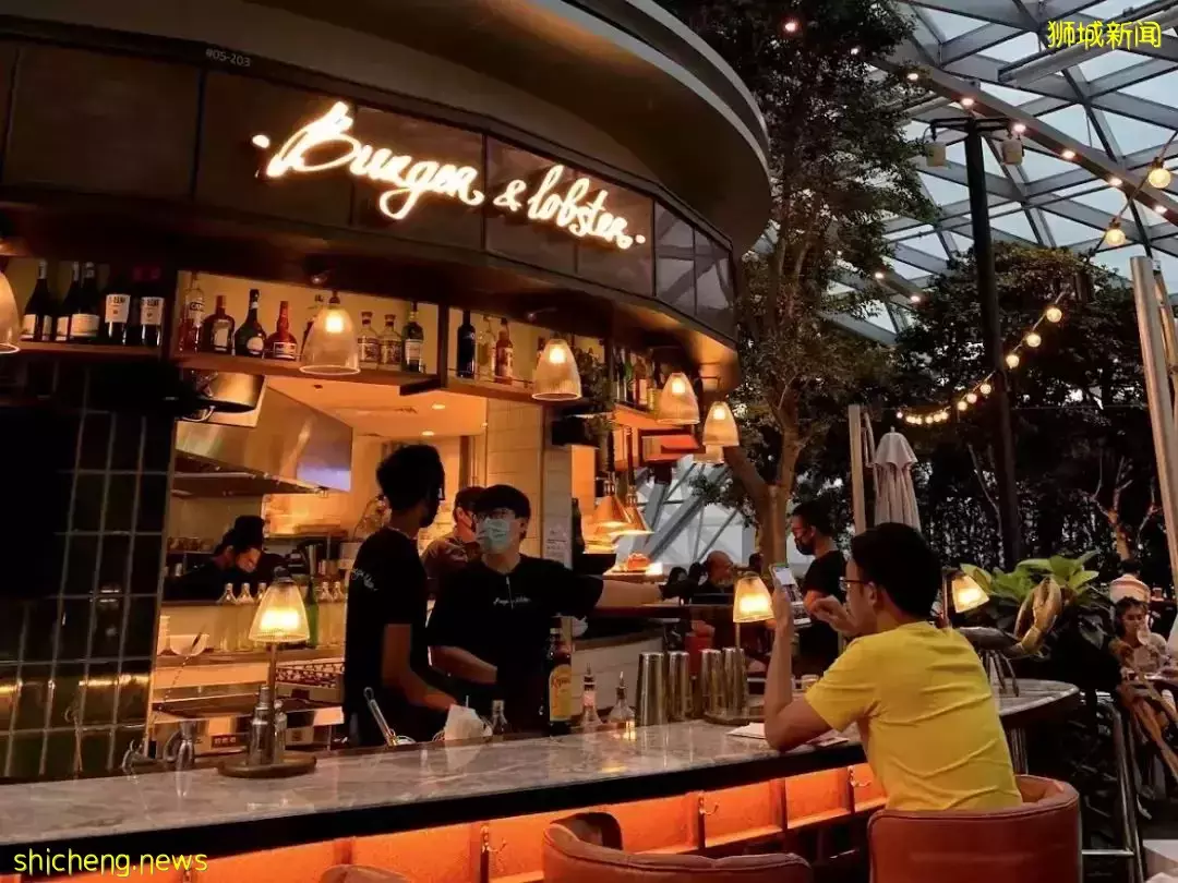 “我最爱的新加坡龙虾餐厅塌房了…”17人食物中毒，4人住院