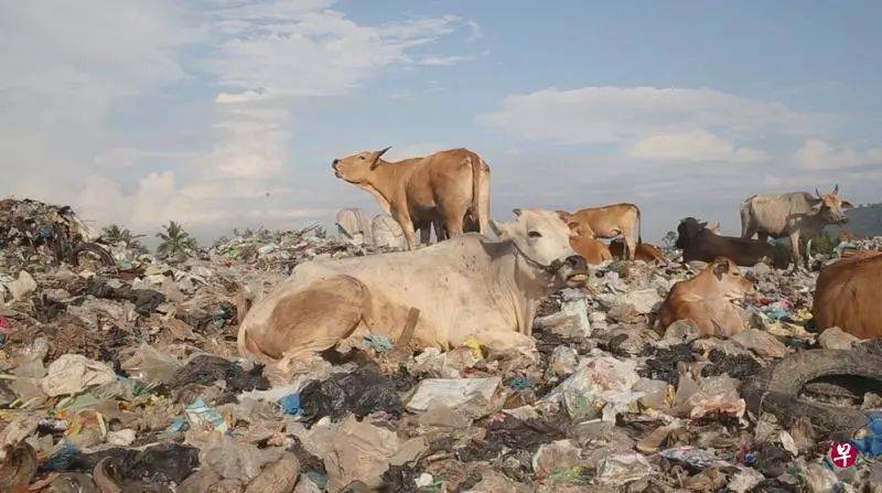 不必羨慕黃金周,新加坡10月藝術盛宴讓心靈更近