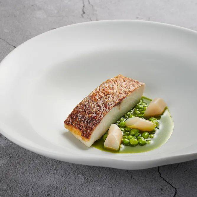 網紅蛋糕打卡，新加坡那些外表焦黑但風靡全球的Burnt cheesecake