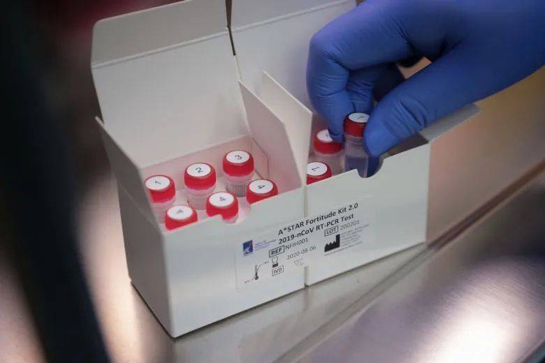 衛生部長顔金勇：新加坡解封第三階段或將持續一年或更久的時間